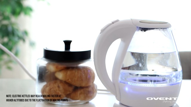 best electric kettle with temperature control